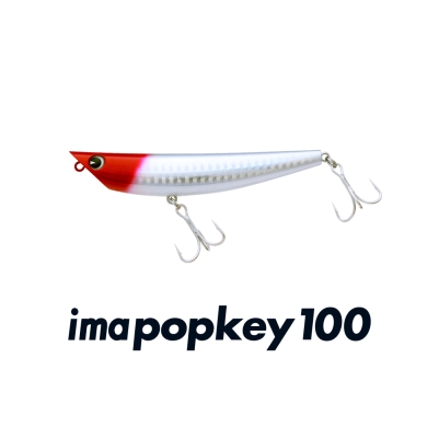 IMA imapopkey 100